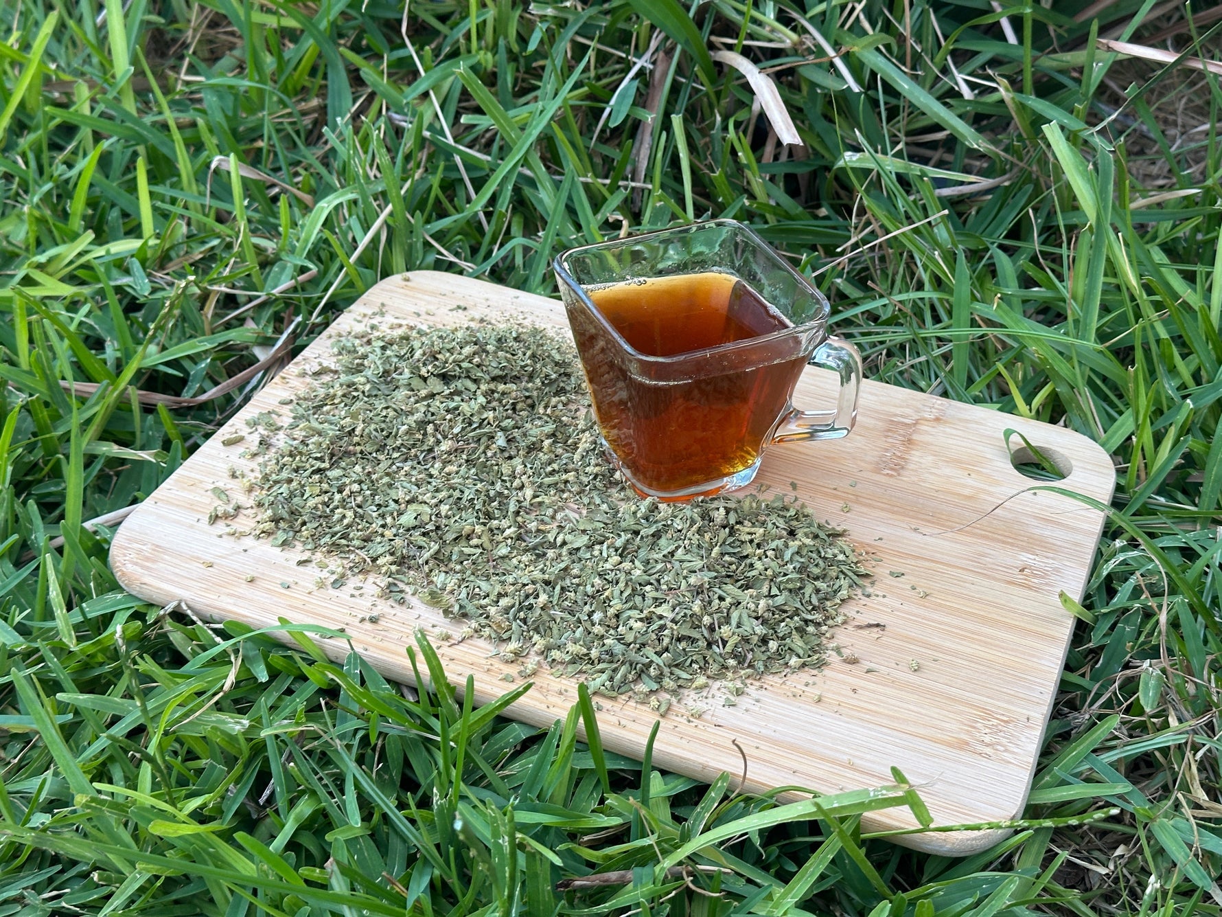 Remedio casero de la abuela para los resfriados: Té de orégano puro