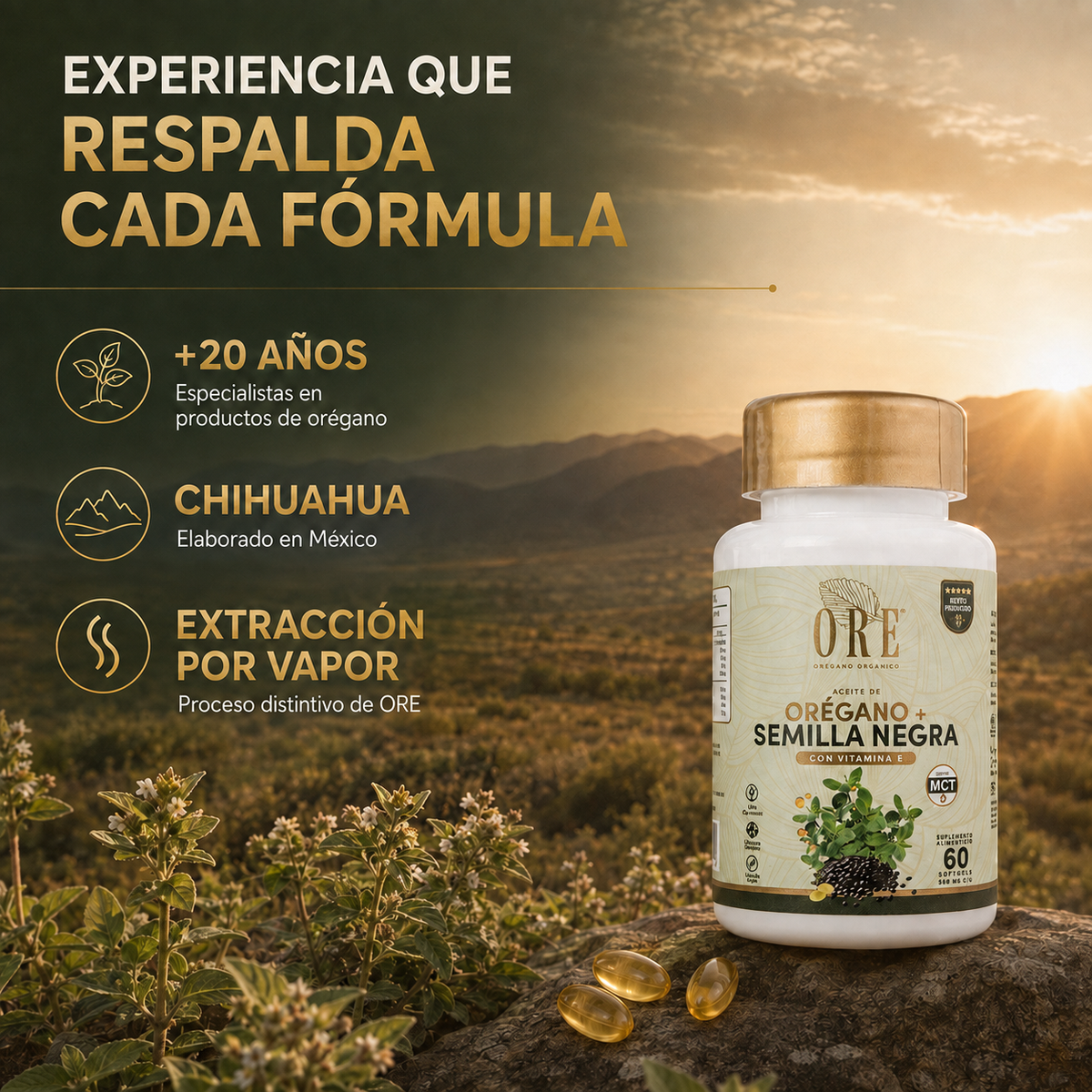 Ore Cápsulas Aceite De Orégano Y Semilla Negra 60 Pz