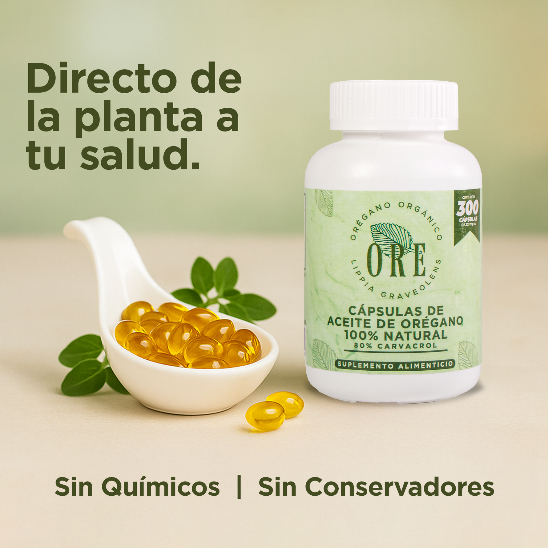 Cápsulas ORE Aceite de Orégano Silvestre Orgánico 300 Pzas | Suplemento Natural Premium con 80%  de Carvacrol – Apoyo Inmunológico, Salud y Bienestar General Cápsula blanda Softgel