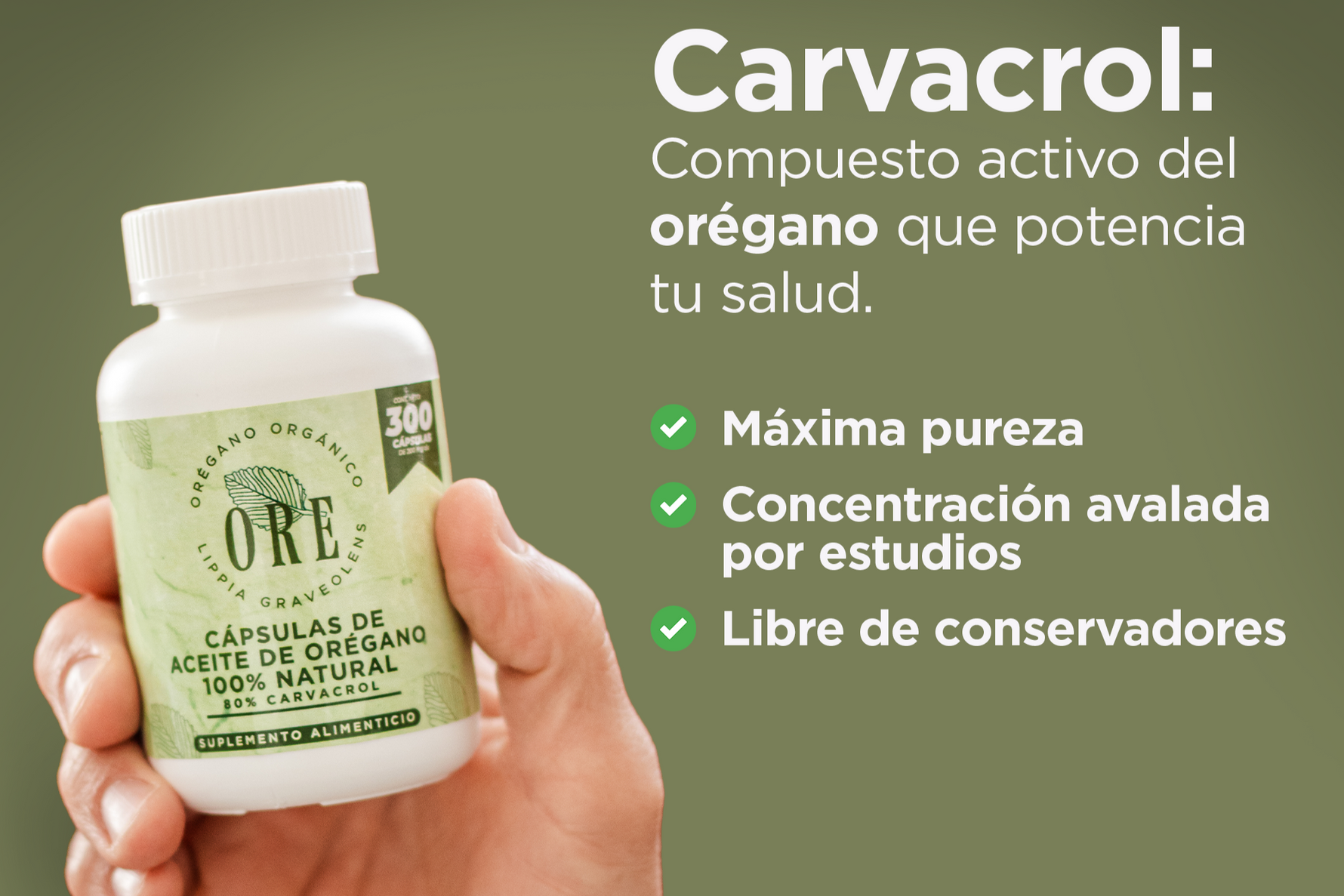 Cápsulas ORE Aceite de Orégano Silvestre Orgánico 300 Pzas | Suplemento Natural Premium con 80%  de Carvacrol – Apoyo Inmunológico, Salud y Bienestar General Cápsula blanda Softgel