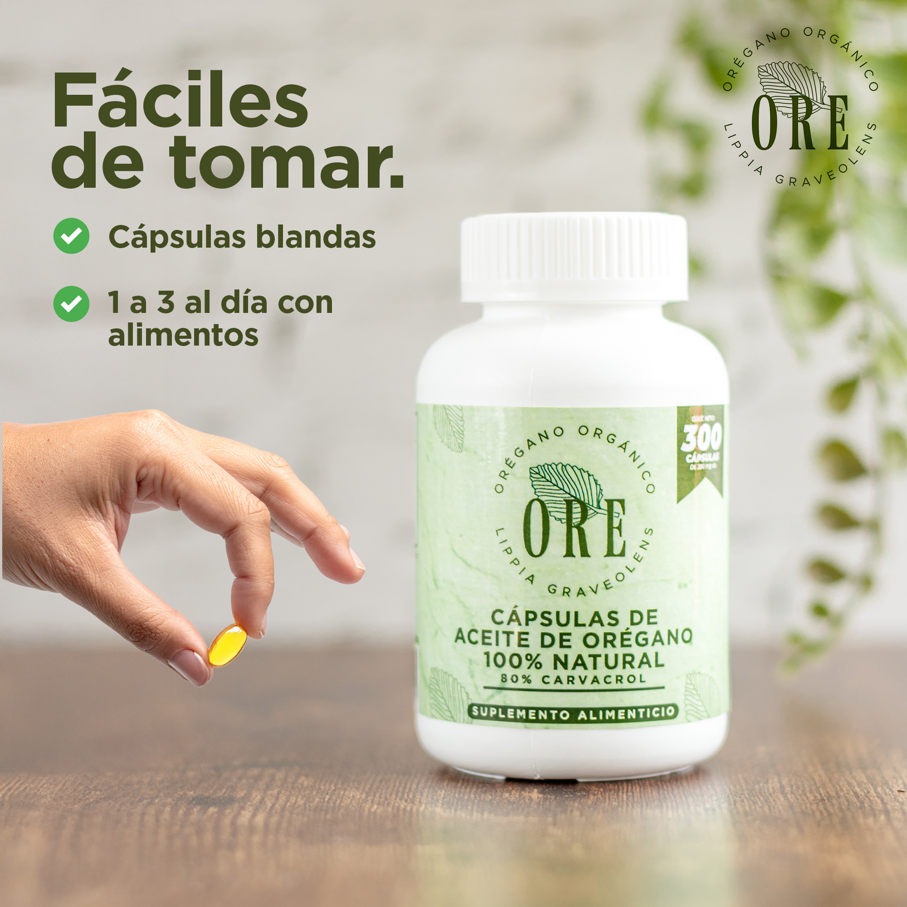 Cápsulas ORE Aceite de Orégano Silvestre Orgánico 300 Pzas | Suplemento Natural Premium con 80%  de Carvacrol – Apoyo Inmunológico, Salud y Bienestar General Cápsula blanda Softgel